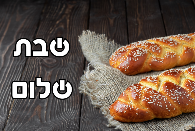 עלונים / גליונות -פרשת וישלח – תשפ”ו – להורדה ישירה